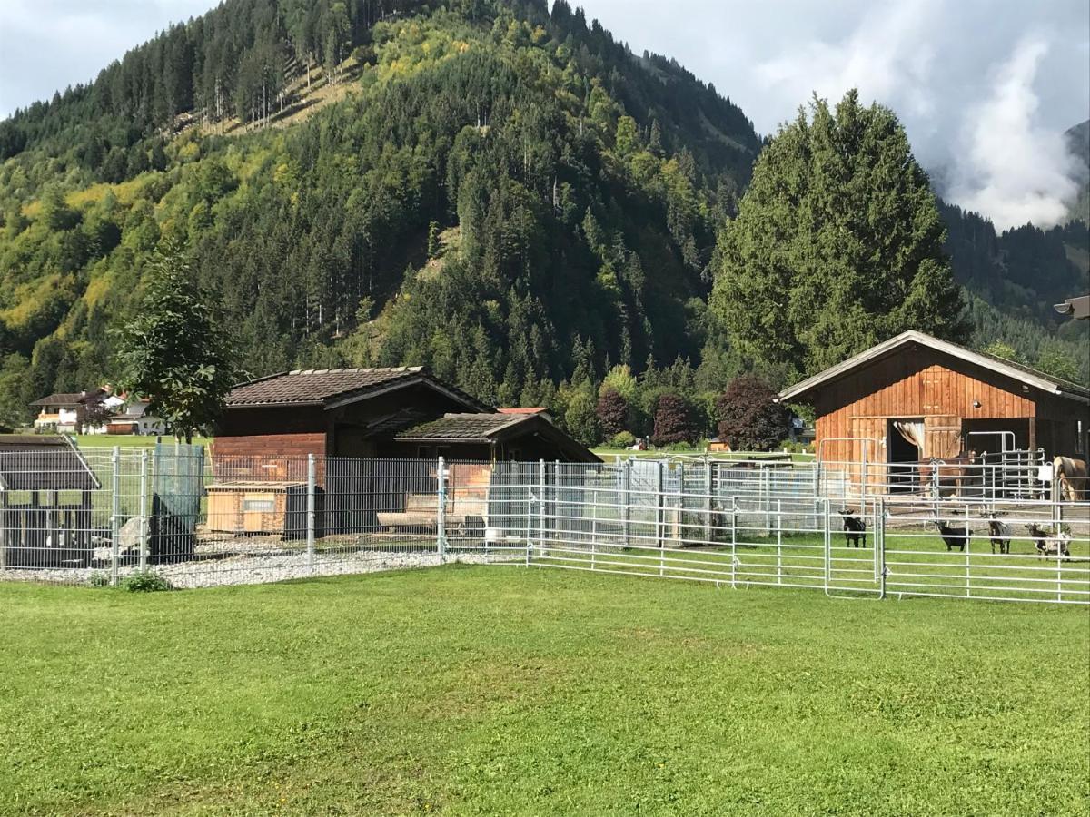 Pony-Ziegen-Hasen-Ranch Bichlbach公寓 外观 照片