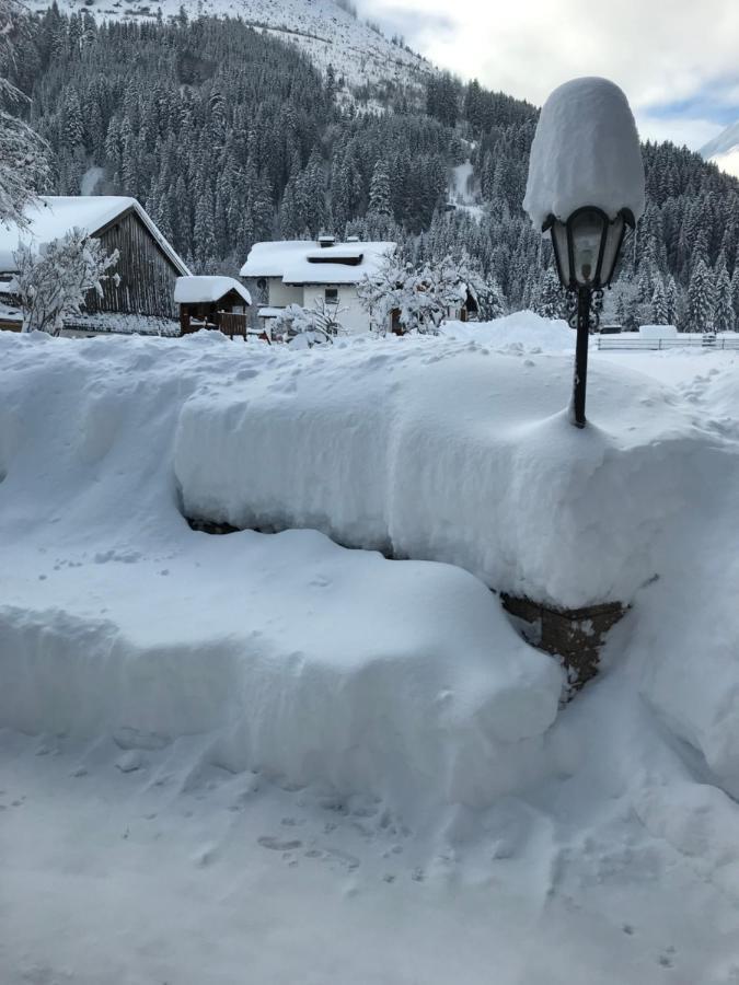 Pony-Ziegen-Hasen-Ranch Bichlbach公寓 外观 照片